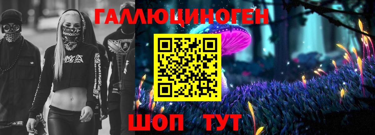 Галлюциногенные грибы Cubensis Пенза