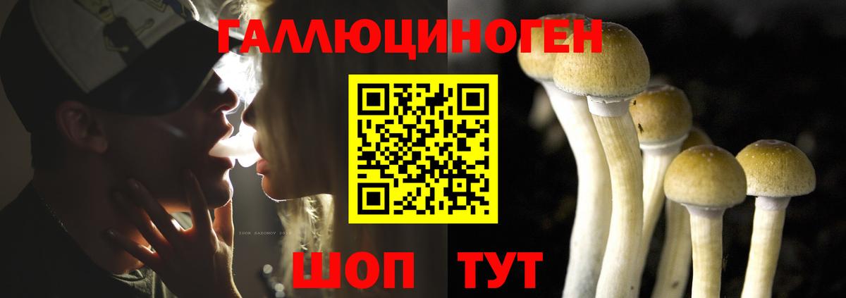 Галлюциногенные грибы Psilocybe  Вход с VPN  Пенза 